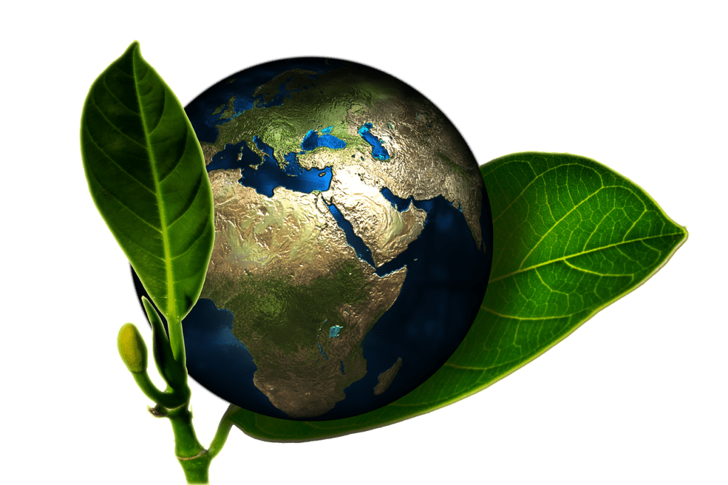 Sustainability In The Global&nbsp;Workplace